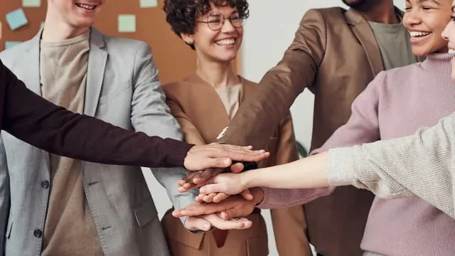 Unification vs. alignment in revenue organizations