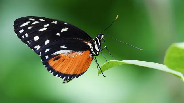 Butterfly effect in RevOps: How tiny changes wreck territory models
